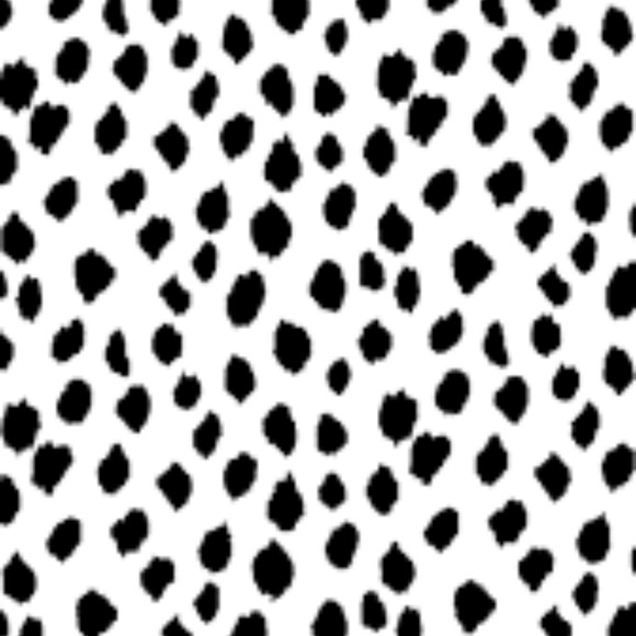 Meet your Posher, Charlotte - Picture 1 of 1